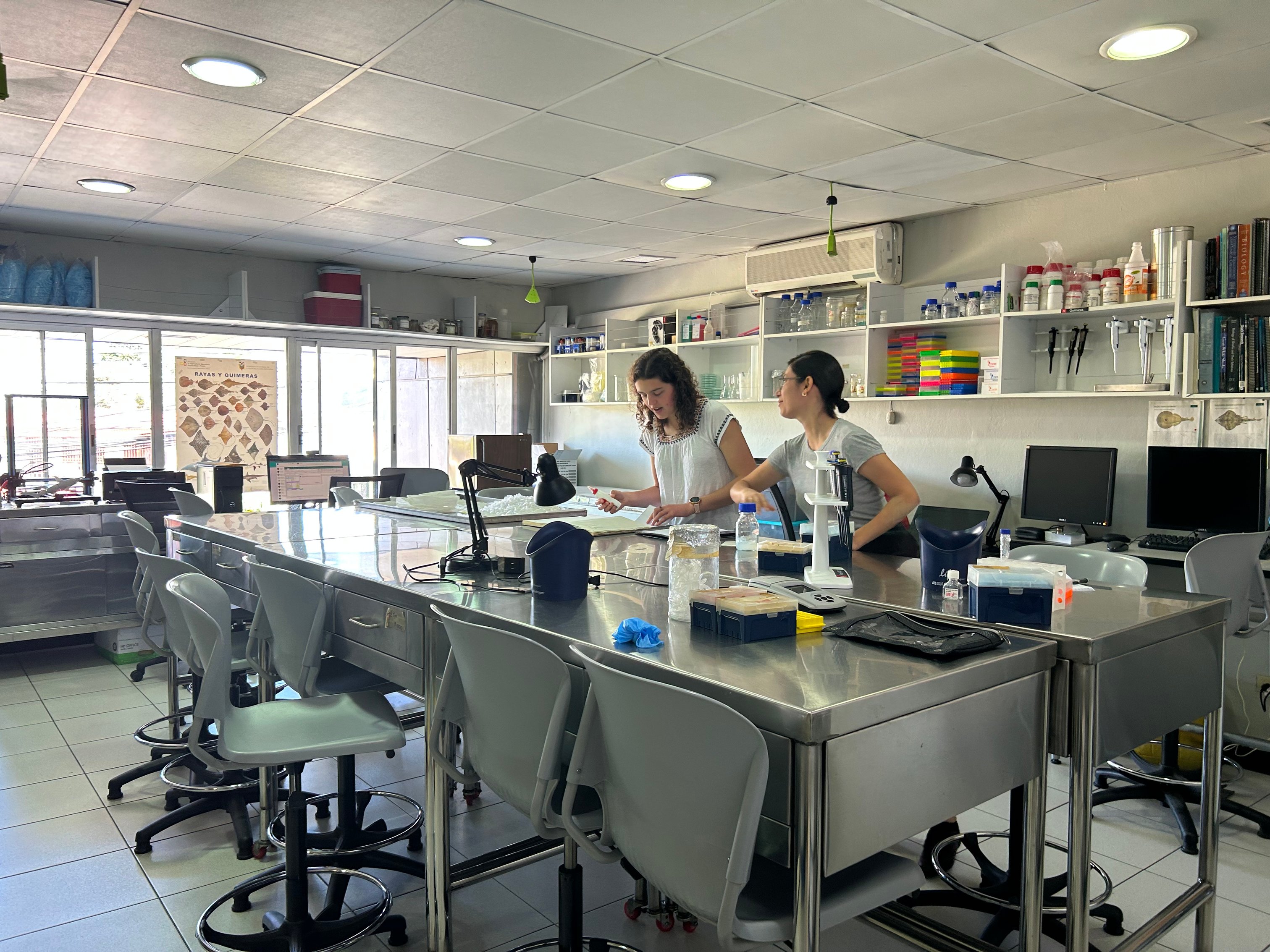 Universidad Veritas Campus Biomol